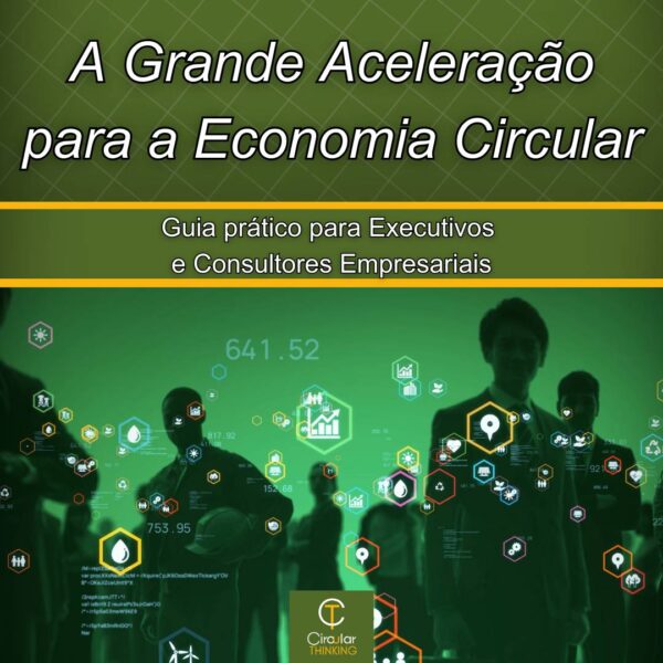 Economia Circular A Grande Aceleração para a Economia Circular Guia prático para Executivos e Consultores Empresariais